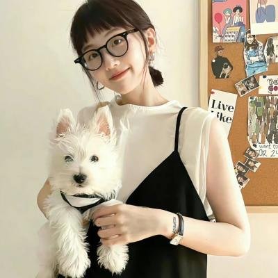 蚂蚁的梦想